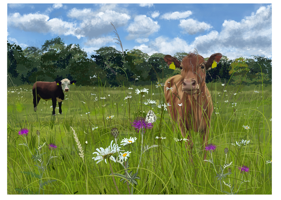 Harewood Common